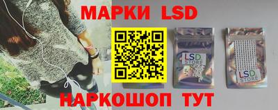 гашик Гатчина