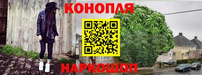 гашик Гатчина