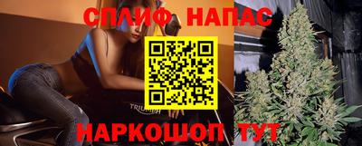 ALPHA PVP Гай