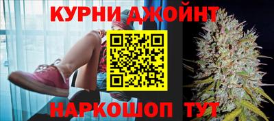 гашик Гатчина