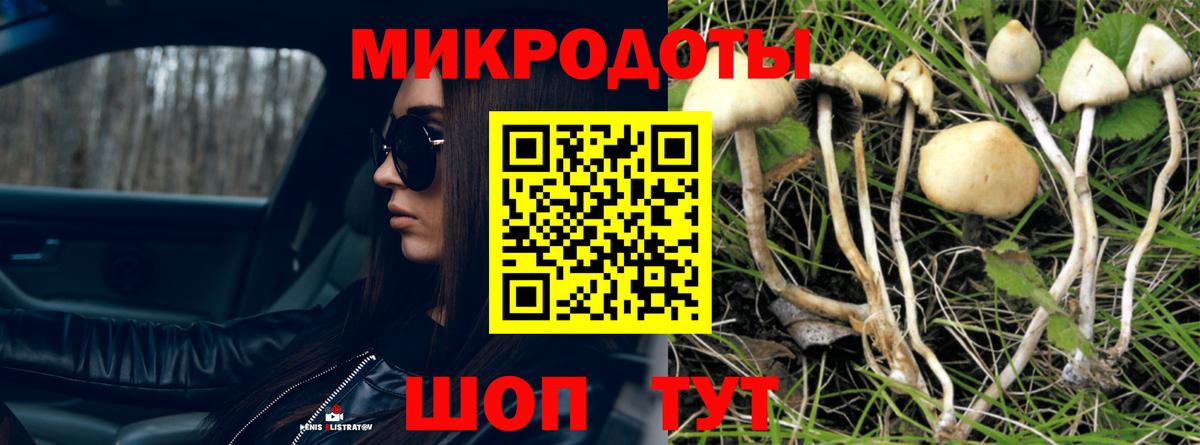 Егорьевск  Галлюциногенные грибы мицелий  Вход с VPN 